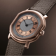 DANIEL ROTH EXTRA PLAT OR ROSE DBBD01A1